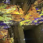 Photo n° 4 de l'avis de Theo.I fait le 06/11/2023 à 12:15 pour Carrières des Lumières à Les Baux-de-Provence