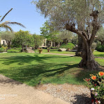 Photo n° 3 de l'avis de Lucie.u fait le 21/08/2020 à 13:10 pour Restaurant Bleu Comme un Jardin à Lucciana