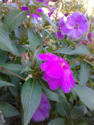 Park «Lowry Park», reviews and photos, 900 Douglas Ave, Minneapolis, MN 55403, USA