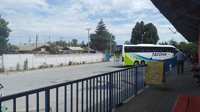 Opiniones de Terminal de Buses Las Cabras en Las Cabras - Servicio de transporte