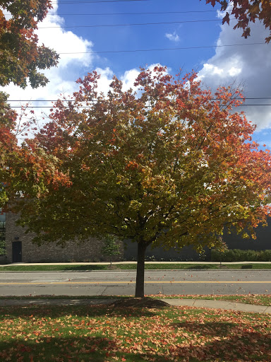 Shopping Mall «Arbor Hills», reviews and photos, 3010 Washtenaw Ave, Ann Arbor, MI 48104, USA