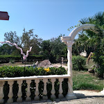 Photo n°1 de l'avis de celeste.o fait le 29/07/2019 à 10:13 sur le  B&B Ginevra à Pulsano