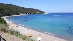 Frugoso Beach'in fotoğrafı uçurumlarla desteklenmiş