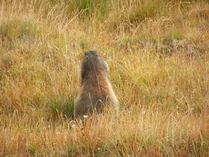 Photo n°105 de Refuge Les Barmettes à Pralognan-la-Vanoise ()