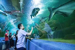 Chiang Mai Zoo Aquarium image