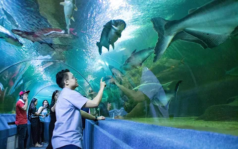 Chiang Mai Zoo Aquarium image