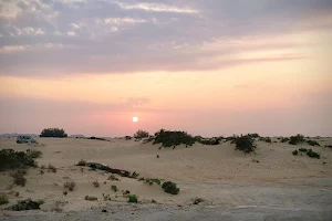 Al Ahsa National Park image