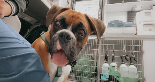 Premium Vet Care - Mobile Animal Hospital image