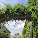 Photo n°6 de l'avis de Ralph. fait le 16/07/2021 à 06:11 sur le  Café Solo à Weisenheim am Berg