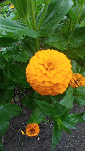 Florist «Generations Floral Art and Artisans», reviews and photos, 23051 E Main St, Armada, MI 48005, USA