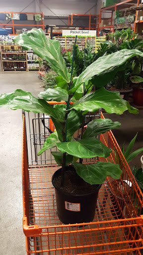 Home Improvement Store «The Home Depot», reviews and photos, 1933 Davis St, San Leandro, CA 94577, USA