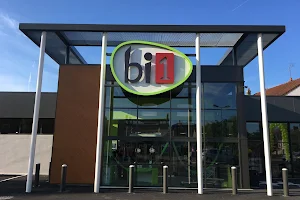 Bi1 image