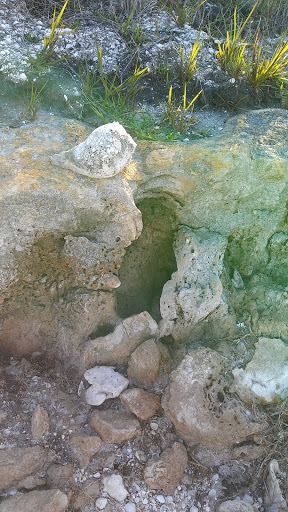 Nature Preserve «Loxahatchee Slough Natural Area», reviews and photos, 9060 W Indiantown Rd, Jupiter, FL 33478, USA