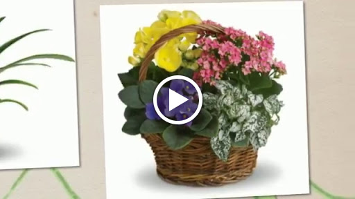 Florist «The Florist at Moana Nursery», reviews and photos, 1110 W Moana Ln, Reno, NV 89509, USA