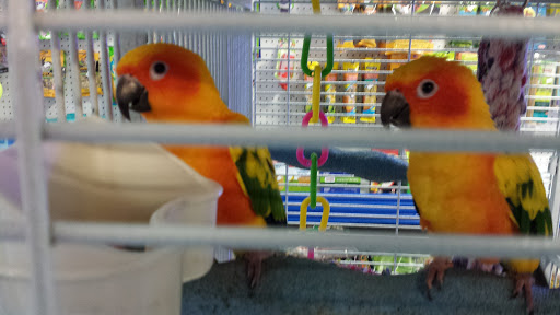 Tropical Fish Store «Stingray Bay», reviews and photos, 17800 E 9 Mile Rd, Eastpointe, MI 48021, USA