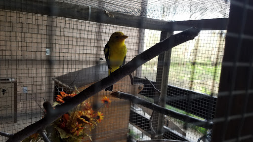 Nature Preserve «Effie Yeaw Nature Center», reviews and photos, 2850 San Lorenzo Way, Carmichael, CA 95608, USA