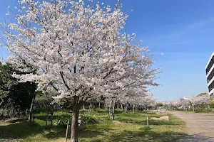 Amagasaki City Agricultural Park image