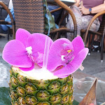 Photo n°1 de l'avis de lucas.c fait le 04/09/2021 à 16:44 sur le  Il Baretto à Santa Teresa Gallura