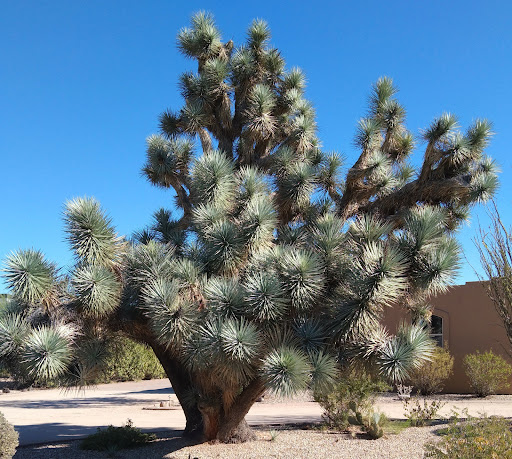 Golf Course «Stonecreek Golf Club», reviews and photos, 4435 E Paradise Village Pkwy S, Phoenix, AZ 85032, USA