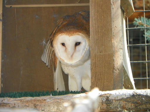 Tourist Attraction «Tracy Aviary», reviews and photos, 589 1300 S, Salt Lake City, UT 84105, USA