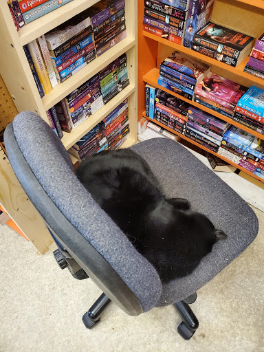 Used Book Store «Bearly Read Books», reviews and photos, 16441 SE Powell Blvd, Portland, OR 97236, USA