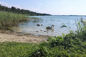 Klooga Lake and Swimming Area image