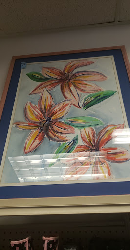 Thrift Store «DAV Thrift Store USA», reviews and photos, 5517 Virginia Beach Blvd, Virginia Beach, VA 23462, USA