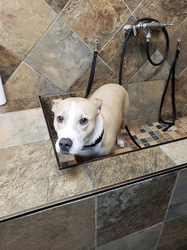 Pet Store «Pet Valu», reviews and photos, 1832 Bethlehem Pike, Flourtown, PA 19031, USA