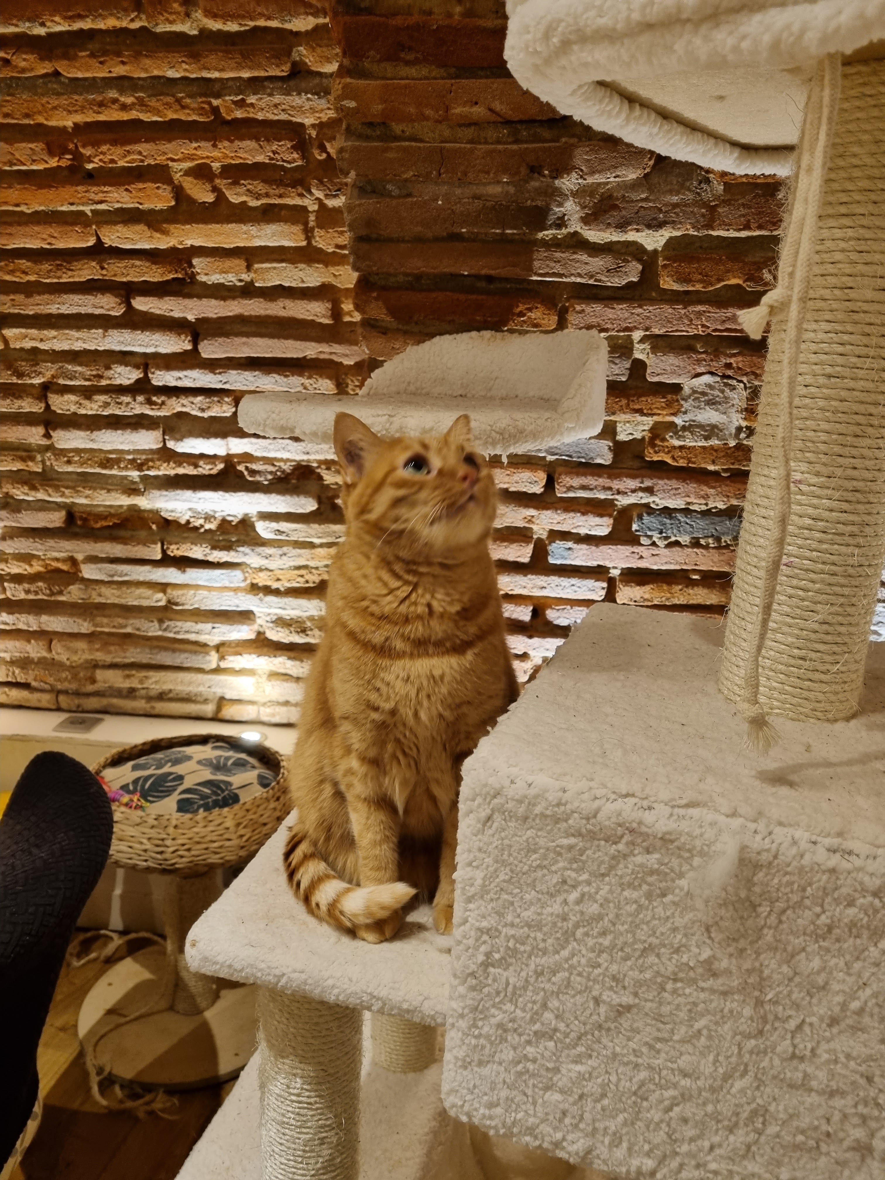 Photo n° 4 de l'avis de Eric.� fait le 23/12/2021 à 16:02