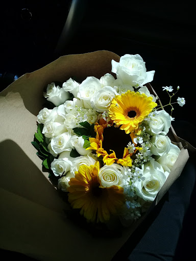 FLORERIA DAISY – Santa Catarina