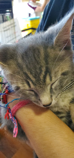 Pet Supply Store «Pet Valu», reviews and photos, 18115 Town Center Dr, Olney, MD 20832, USA