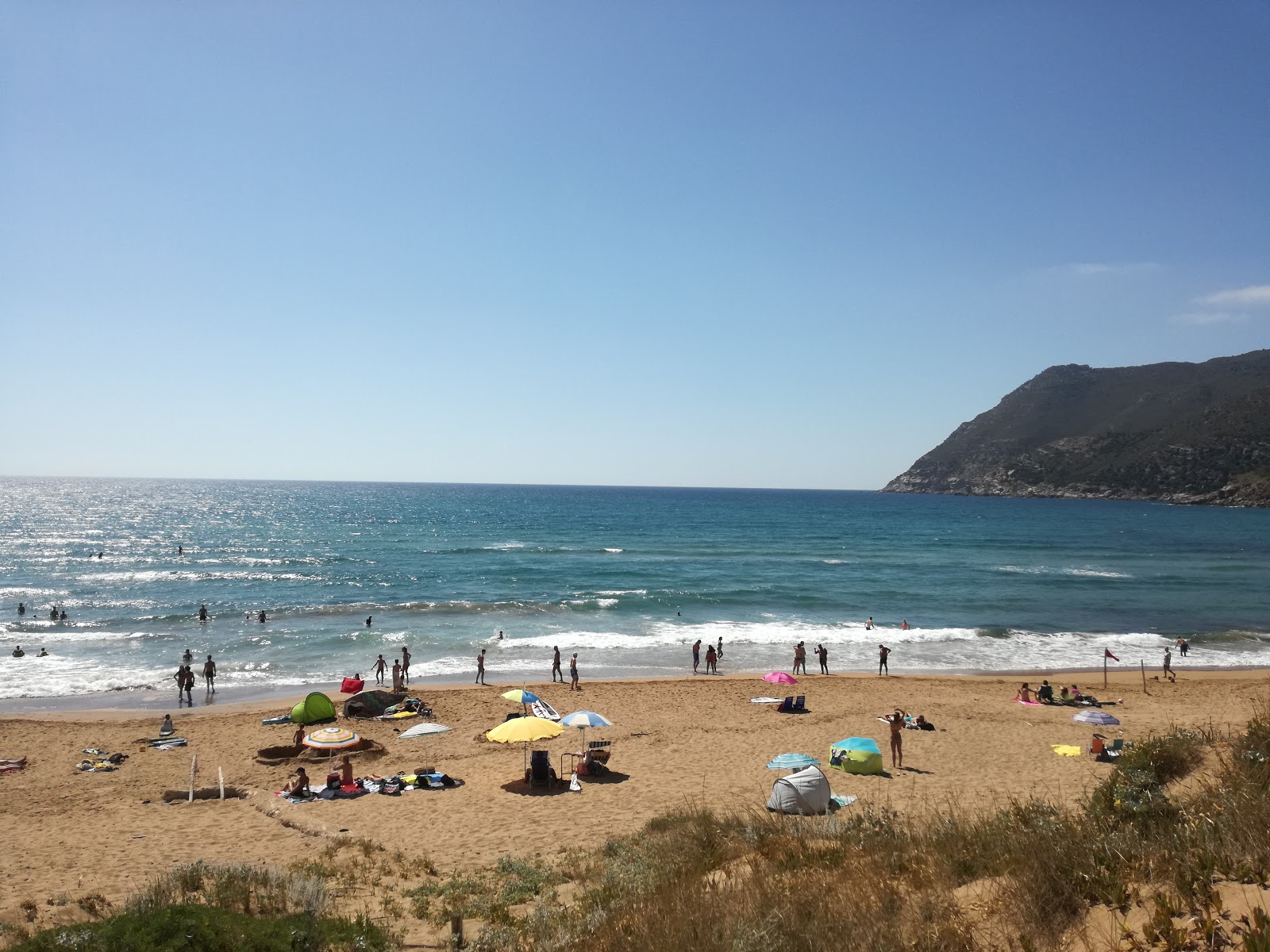 Spiaggia di Porto Ferro'in fotoğrafı - tatil için iyi evcil hayvan dostu nokta