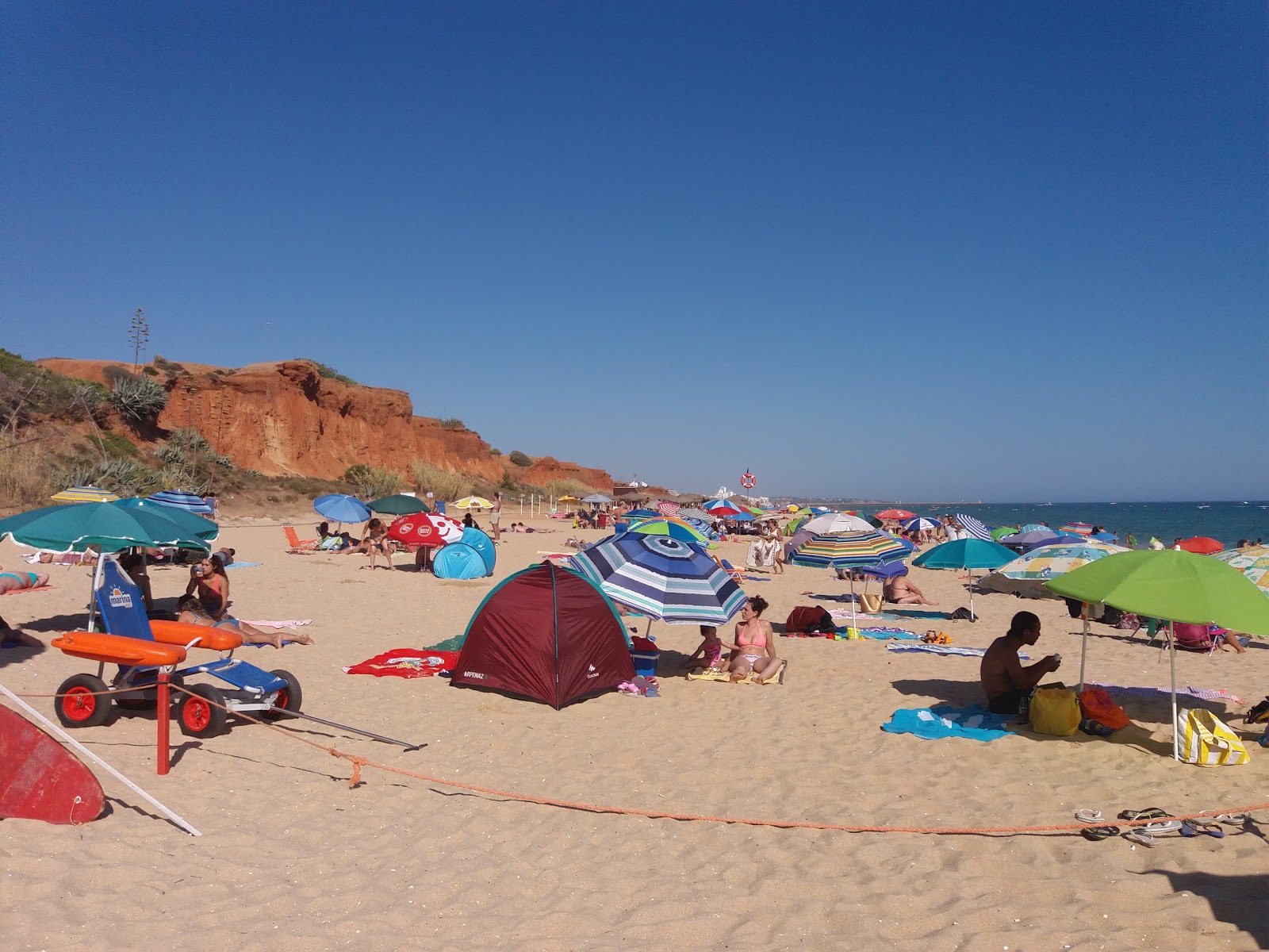 Domates Plajı'in fotoğrafı - tatil için iyi evcil hayvan dostu nokta