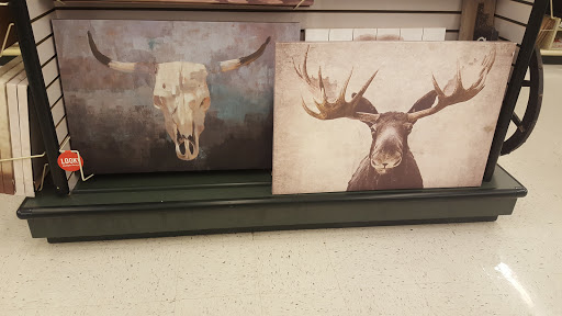 Craft Store «Hobby Lobby», reviews and photos, 4106 S College Ave Suite 101, Fort Collins, CO 80525, USA