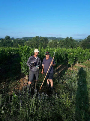 Vignoble Rousseau à Val-du-Layon