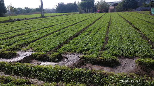 Google Maps image 25