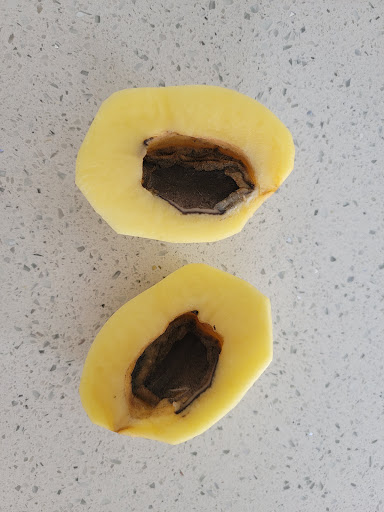 Department Store «Target», reviews and photos, 1201 County Road 581, Wesley Chapel, FL 33544, USA