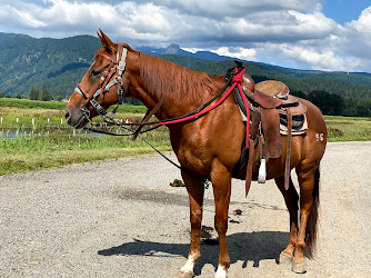 Leghorn Ranch Horseback Trail Rides