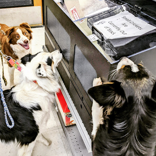 Pet Supply Store «PetSmart», reviews and photos, 3630 Peachtree Pkwy, Suwanee, GA 30024, USA