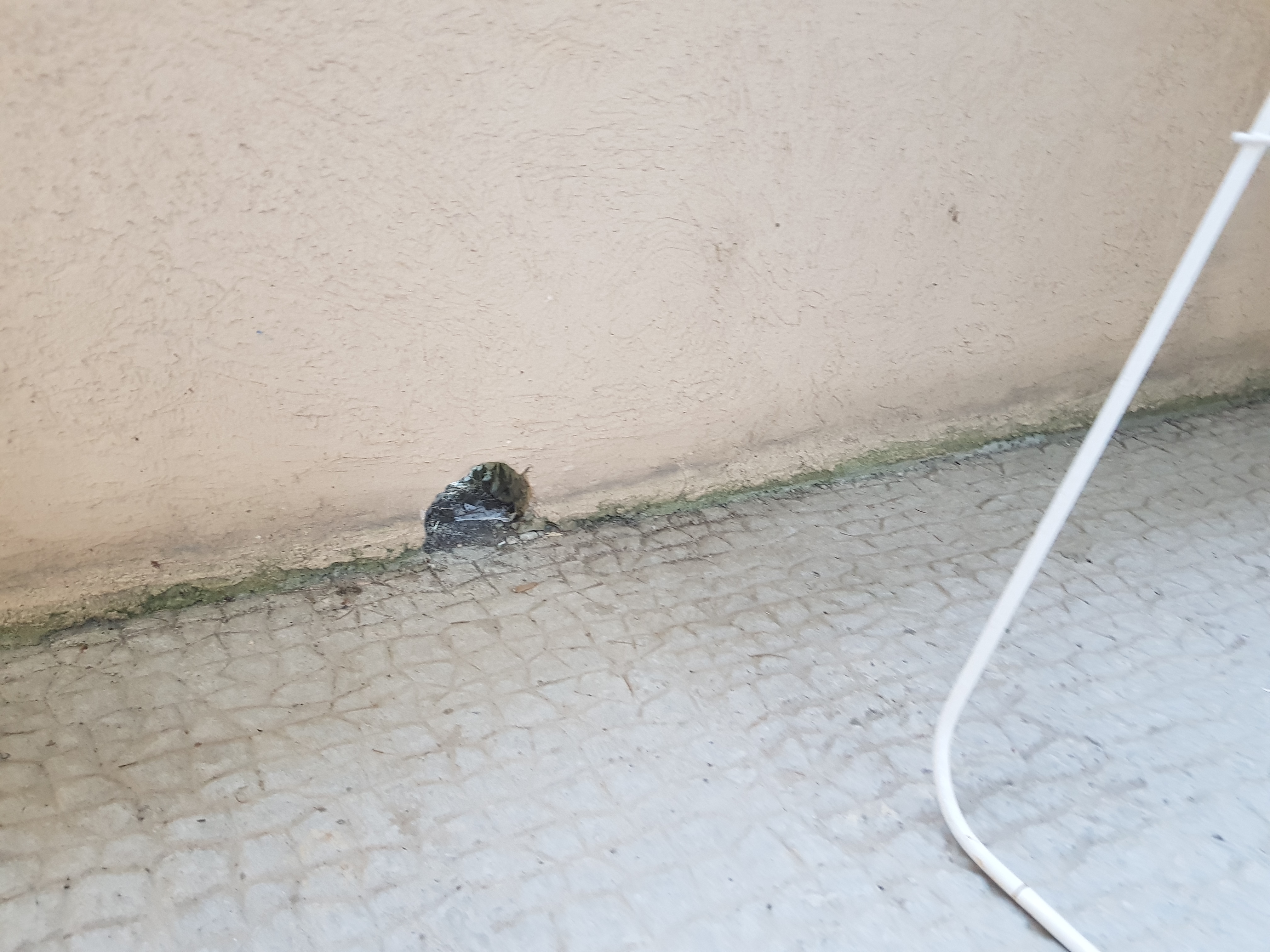Photo n° 1 de l'avis de Guillaume.R fait le 13/09/2019 à 17:09
