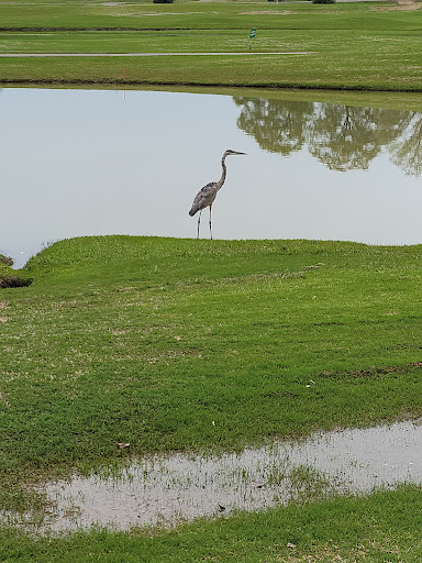 Golf Course «Meadow Lakes Golf Course», reviews and photos, 383 Adams Rd, Cedartown, GA 30125, USA