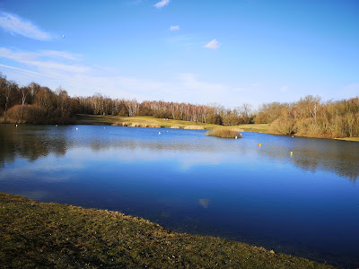 Marais de la Briquette à Meurchin