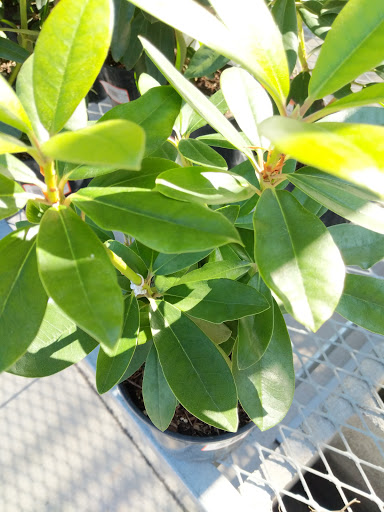 Home Improvement Store «The Home Depot», reviews and photos, 1601 13th Ave E, Tuscaloosa, AL 35404, USA