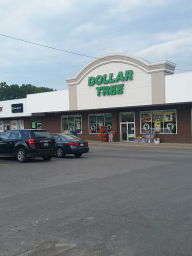 Dollar Store «Dollar Tree», reviews and photos, 461 N Main St, Warsaw, NY 14569, USA