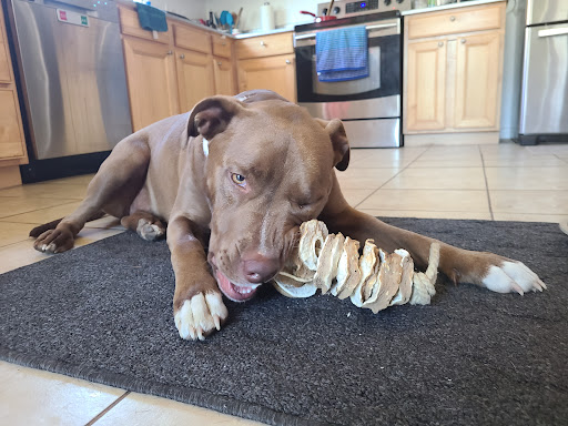 Pet Supply Store «Petco Animal Supplies», reviews and photos, 1169 Valley River Dr, Eugene, OR 97401, USA