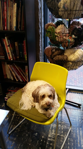 Arts Organization «SoWa Art + Design District», reviews and photos, 450 Harrison Ave, Boston, MA 02118, USA