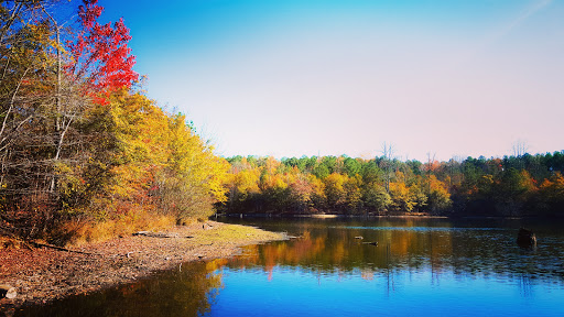 Nature Preserve «Davidson-Arabia Nature Preserve», reviews and photos, 3787 Klondike Rd, Lithonia, GA 30038, USA