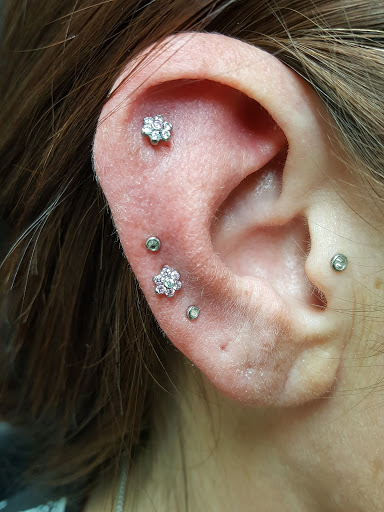 Tattoo Shop «Timeless Craft Tattoo Gallery», reviews and photos, 8083 W Sample Rd, Coral Springs, FL 33065, USA