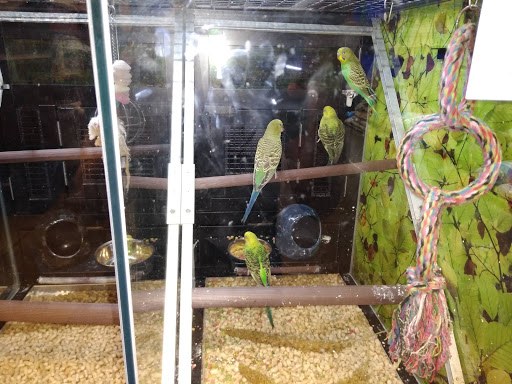 Pet Supply Store «PetSmart», reviews and photos, 601 Centerview Blvd, Kissimmee, FL 34741, USA