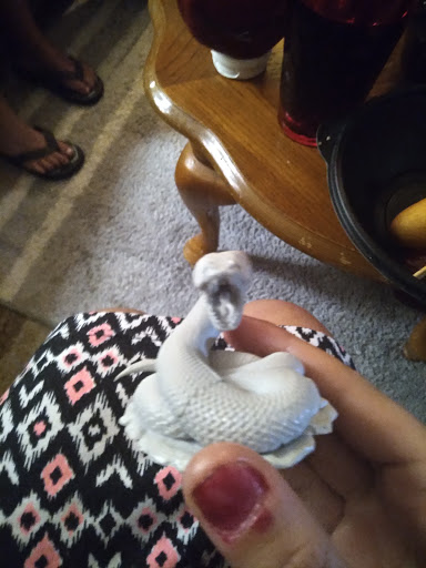 Game Store «Wild Things Games», reviews and photos, 241 Commercial St NE, Salem, OR 97301, USA